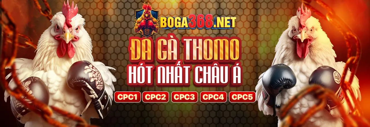 Sân chơi đá gà trực tuyến Gacam67 Nổ Hũ